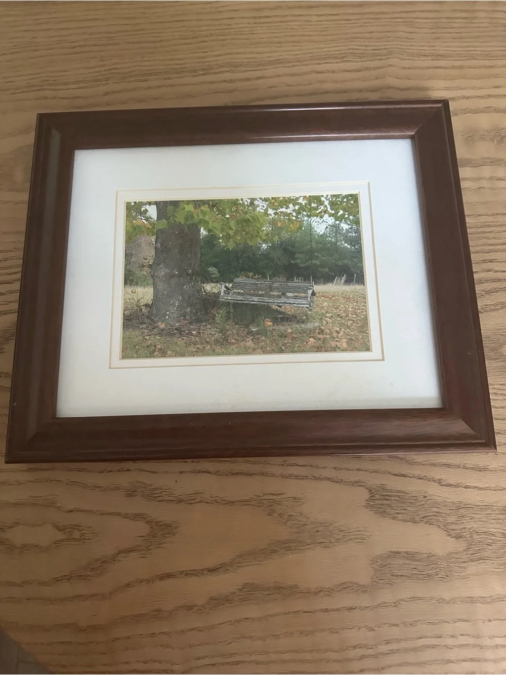 Beautiful Matted Wood Finish Brown Framed Wall Art - Tree w/ Old Swing. 9.5x11.5